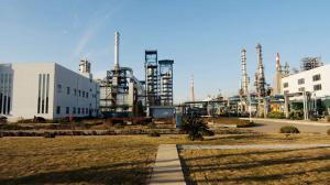 中國能建浙江火電承建的舟山石化工程7臺機(jī)組全部開工