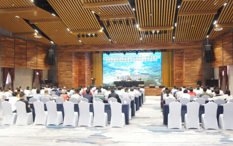 水電站運行管理、梯級調(diào)度控制專委會聯(lián)合召開2018年學(xué)術(shù)交流會
