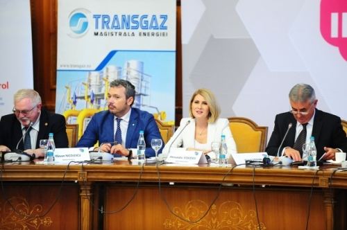 羅馬尼亞能源市場(chǎng)及未來能源戰(zhàn)略