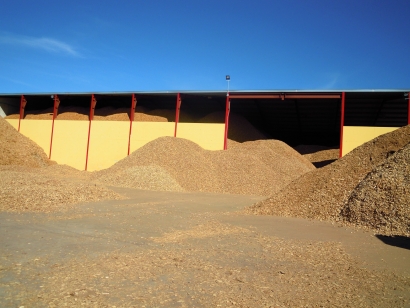 電生物質(zhì)長達兩萬八千