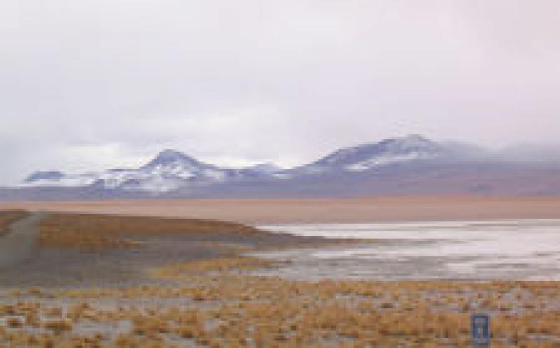 RFP：技術協調地熱開發，Laguna Colorada，玻利維亞