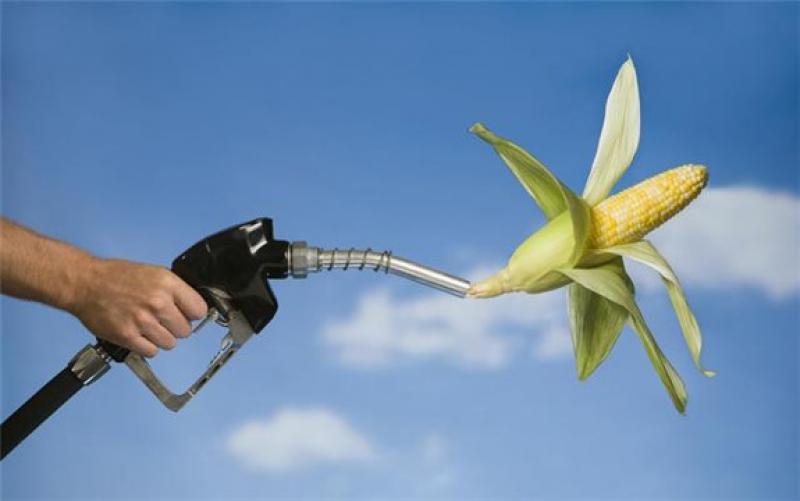 國務(wù)院常務(wù)會議確定生物燃料乙醇產(chǎn)業(yè)總體布局