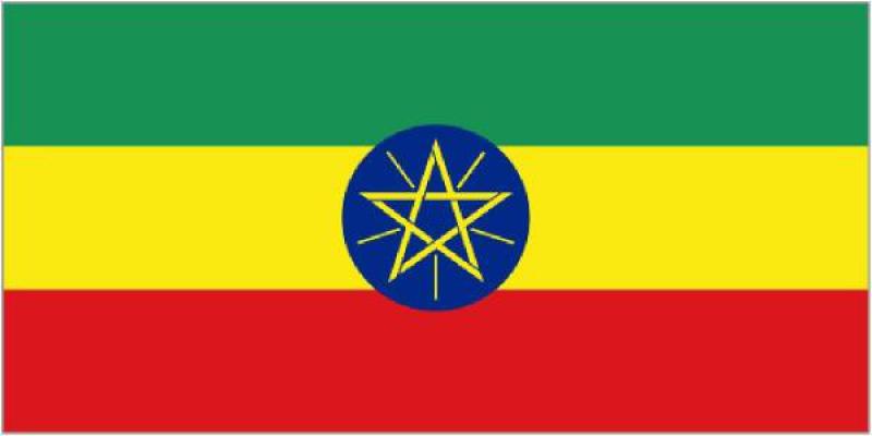 埃塞俄比亞能源概況：太陽能及最佳實踐案例