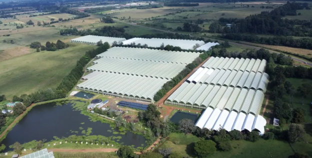 肯尼亞花卉種植園儲能系統(tǒng)實現(xiàn)清潔能源轉(zhuǎn)型